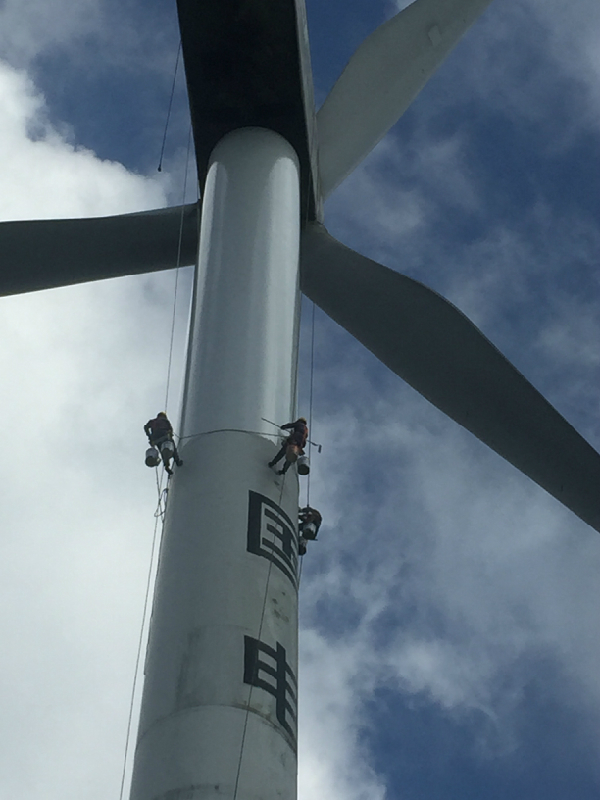 美化家居:探索煙囪美化公司的妙用